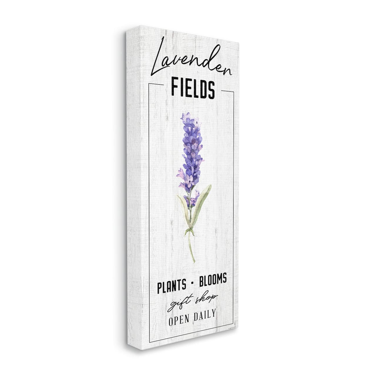 Stupell Industries Lavender Fields Purple Farm Florals Gift Shop Sign Canvas Wall Art